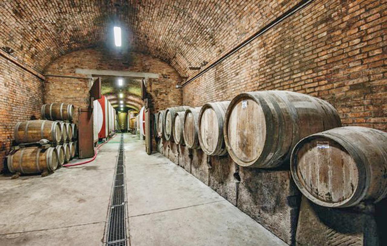 Agriturismo Fattoria Il Piano - Appartamento Aia - 산지미냐노 외부 사진